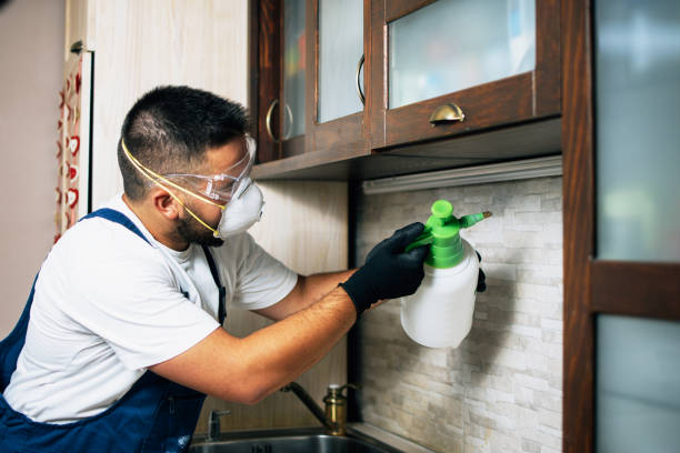 Best Local Pest Control Services  in Macdonnell Heights, NY