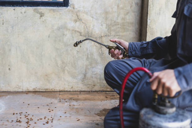 Best Emergency Pest Control  in Macdonnell Heights, NY